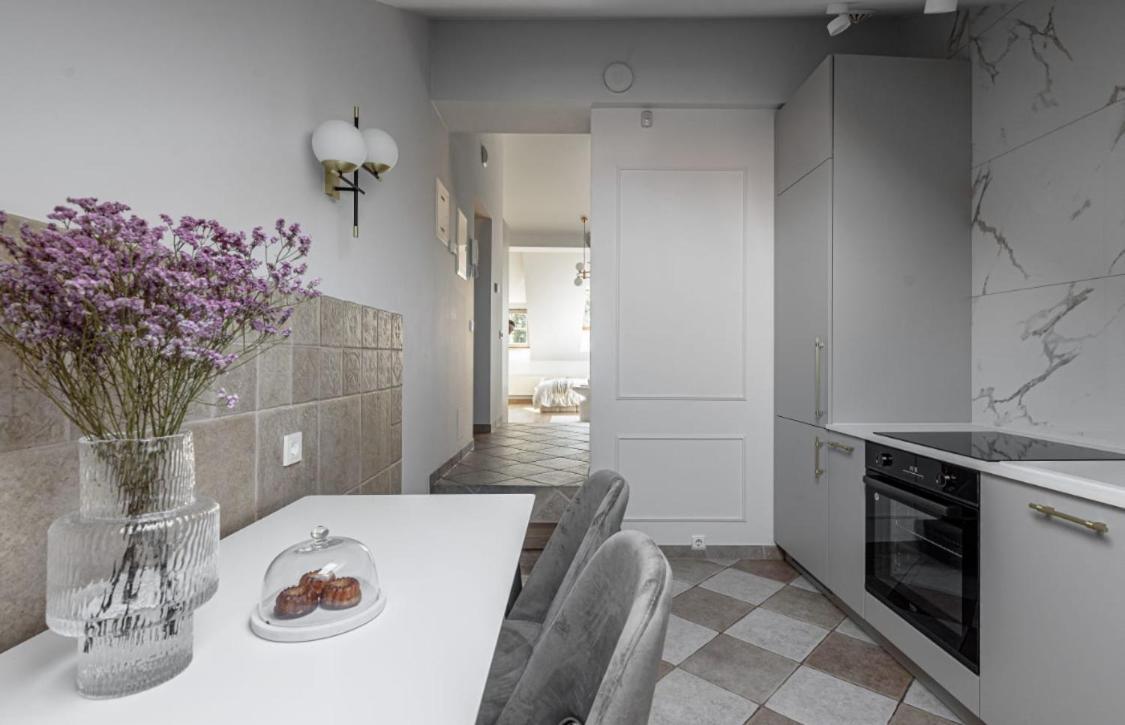 Traku Street Apartment In Vilnius Exterior photo
